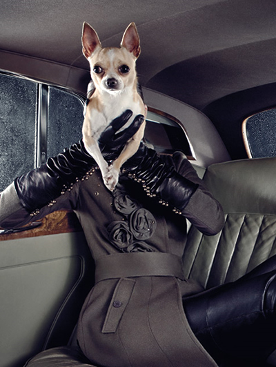 Patrizia Pepe F/W 2010